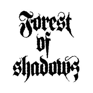 Forest of Shadows Photo