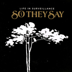 Life in Surveillance cover
