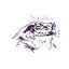Bufo Alvarius Albumcover