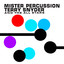 Mister Percussion cover