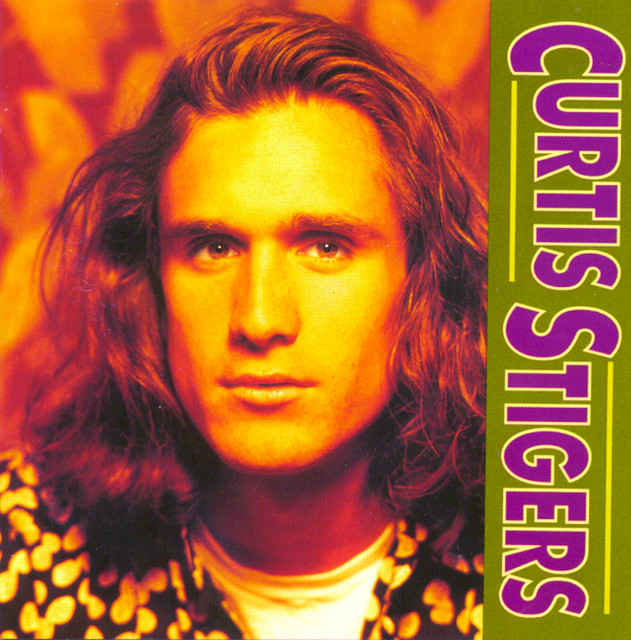 Curtis Stigers cover