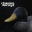 Chasing decoys Albumcover