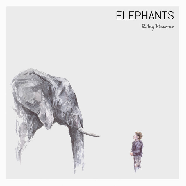 Elephants cover