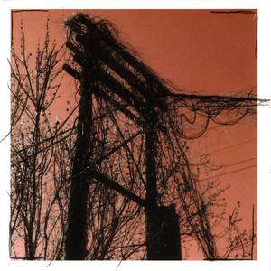 The Butcher's Block cover
