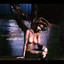Mistrust the Angels cover