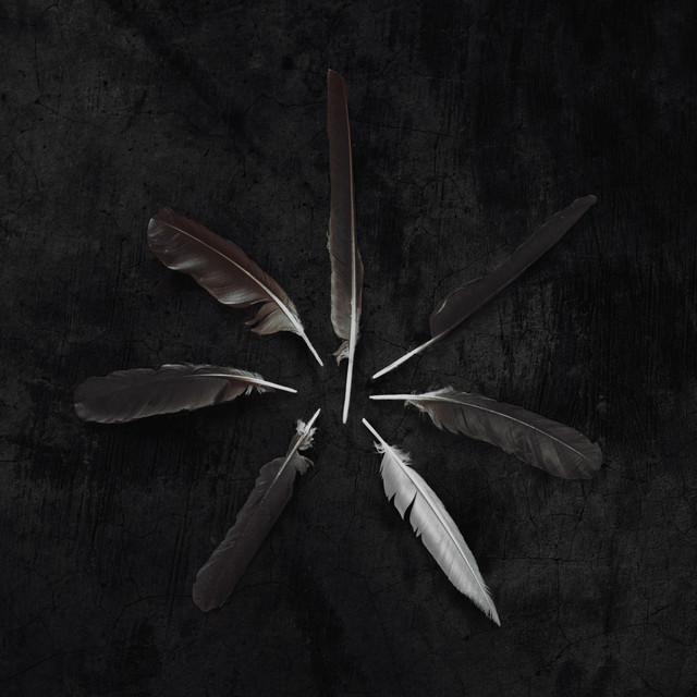 Dust And Disquiet cover