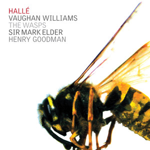The Wasps cover