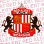 Wearside cover