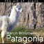 Patagonia - the art of piano Albumcover