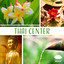 Thai Center: Relaxing Oriental Music for Wellness Spa & Massage, Harmony of Mind and Body, Deep Relaxation Meditation Sanctuary cover