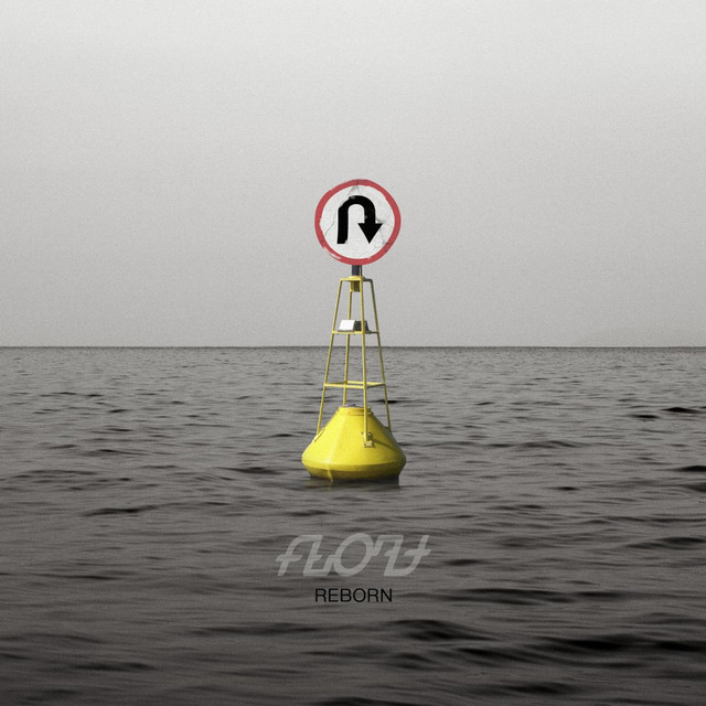 Reborn cover