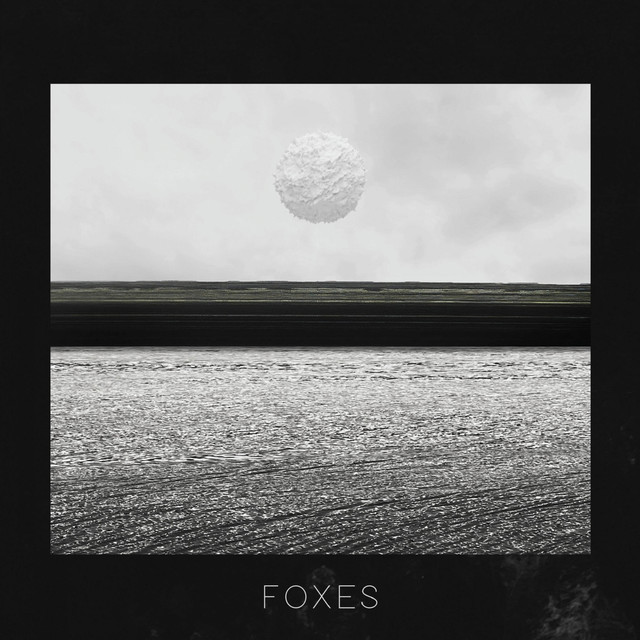 Foxes cover