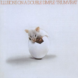 Illusions on a Double Dimple cover