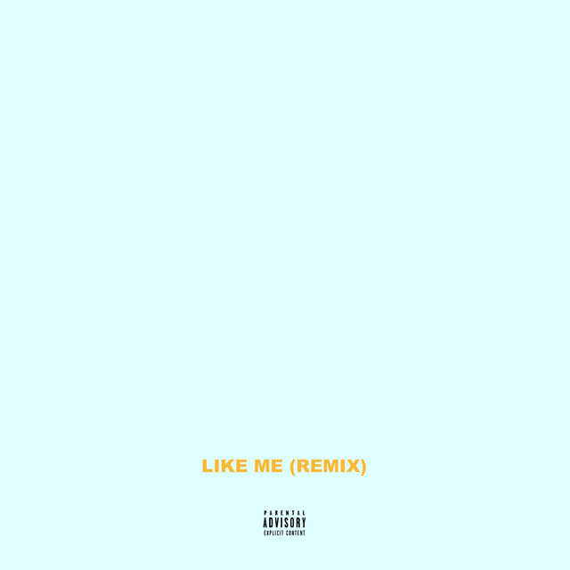 Like Me (Remix)