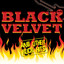 Best Of Rock: Black Velvet Albumcover