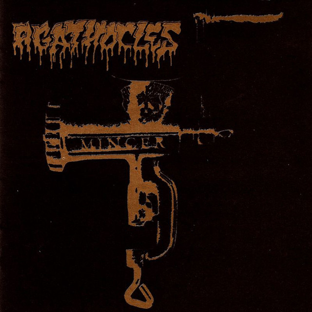 Mincer cover