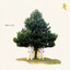 Dehli 9 cover