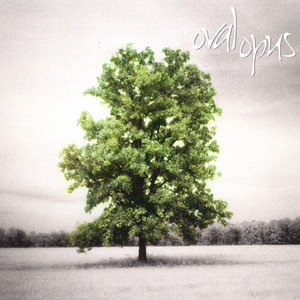Oxygen cover