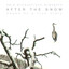 After The Snow (Original short film score) Albumcover
