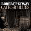 Catfish Blues cover