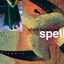 Spell Albumcover