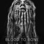 Blood To Bone (Deluxe) cover
