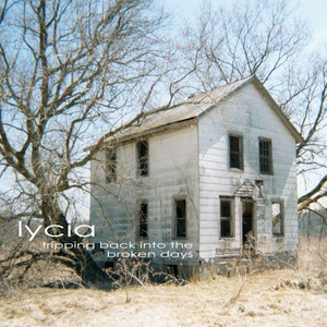 Tripping Back Into the Broken Days cover