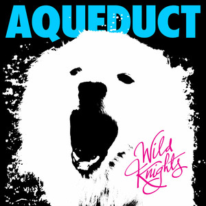 Wild Knights cover