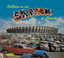 Multishow Ao Vivo - Skank no Mineirão Albumcover