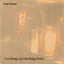 Two Rungs Up, One Rung Down Albumcover