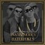 Playermodus im Haterfokus Albumcover