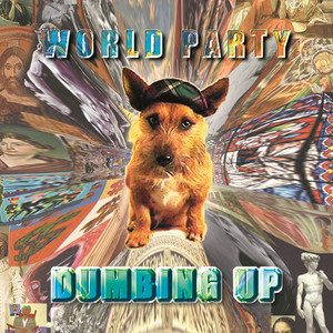 Dumbing Up cover