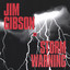 Storm Warning Albumcover