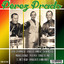 Dengue Regaee cover