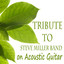 Tribute to Steve Miller Band on Acoustic Guitar Albumcover