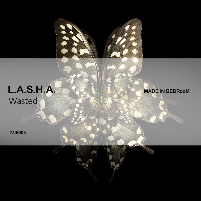 L.a.s.h.a Photo
