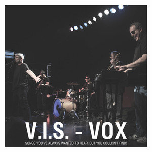 V.I.S. Vox