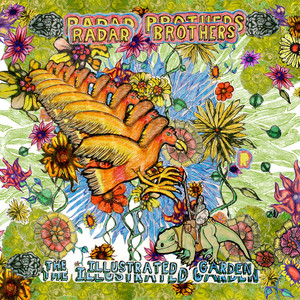 The Illustrated Garden cover