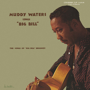 Muddy Waters Sings Big Bill Broonzy cover