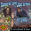 In the Chamber of Dub cover