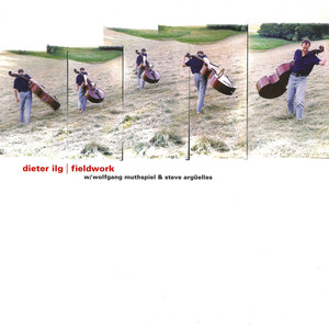 Fieldwork album
