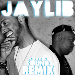 Champion Sound: The Remix album