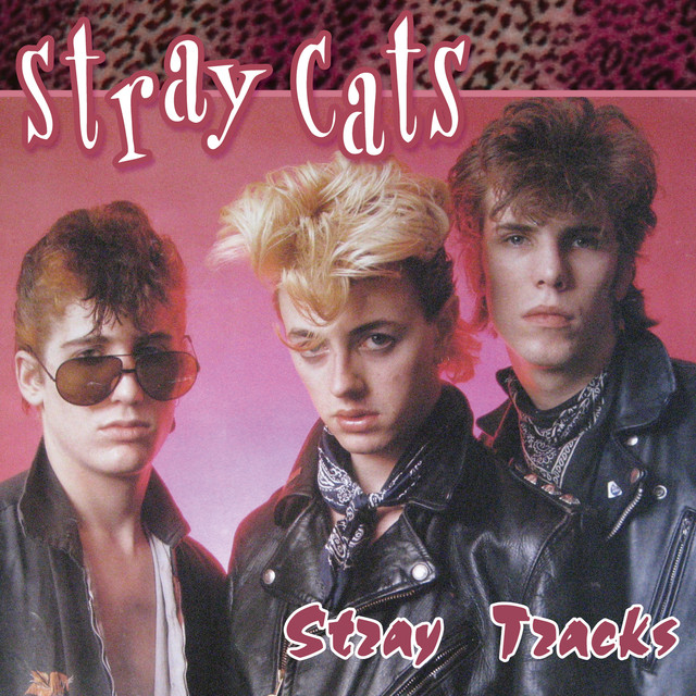 Stray Tracks cover