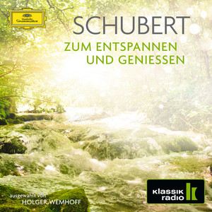 Schubert - Zum Entspannen und Genießen album