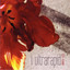 I Ultrarapid Albumcover