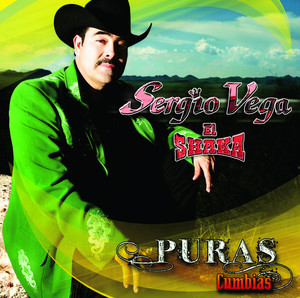 Puras Cumbias cover