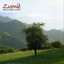 Zumiè Albumcover