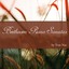 Beethoven: Piano Sonatas Albumcover