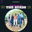 Mr. Tambourine Man cover