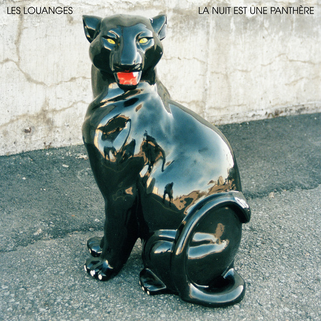 La Nuit Est Une Panthère cover
